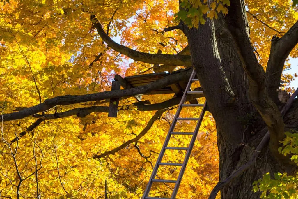 Compensation from a Hunting Accident