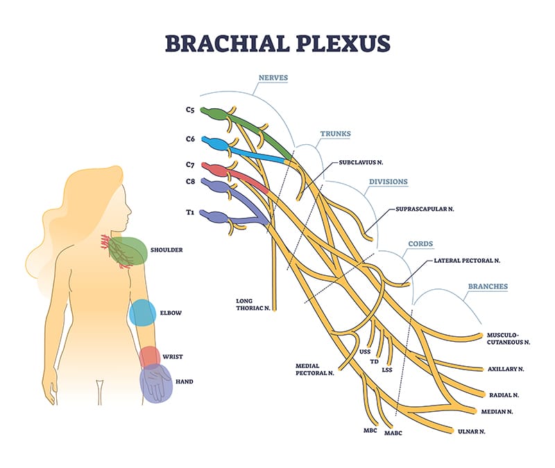 Types of Shoulder Injuries in Florida