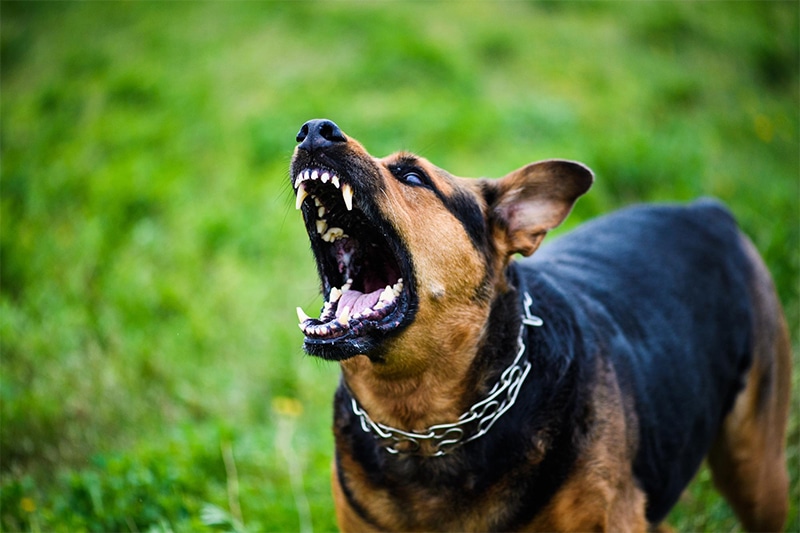Types of Premises Liability Claims in Boise