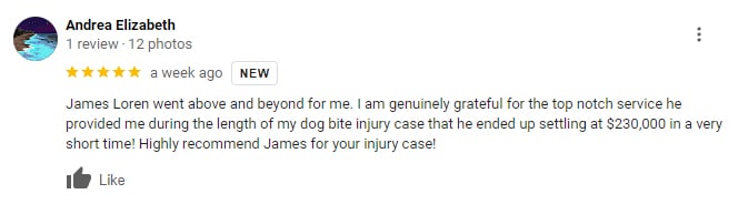 Fargo Dog Bite Lawyer Client Review