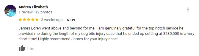Los Angeles Dog Bite Lawyer Client Review