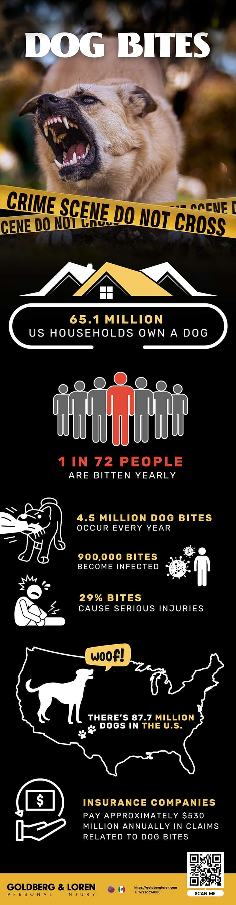 Dog Bites Insights Infographic