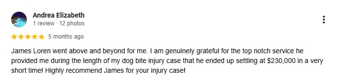 Eugene Dog Bite Client Review