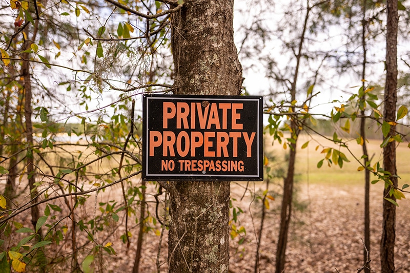 Common Defenses in Tacoma Dog Bite Injury Cases: Provocation and Trespassing
