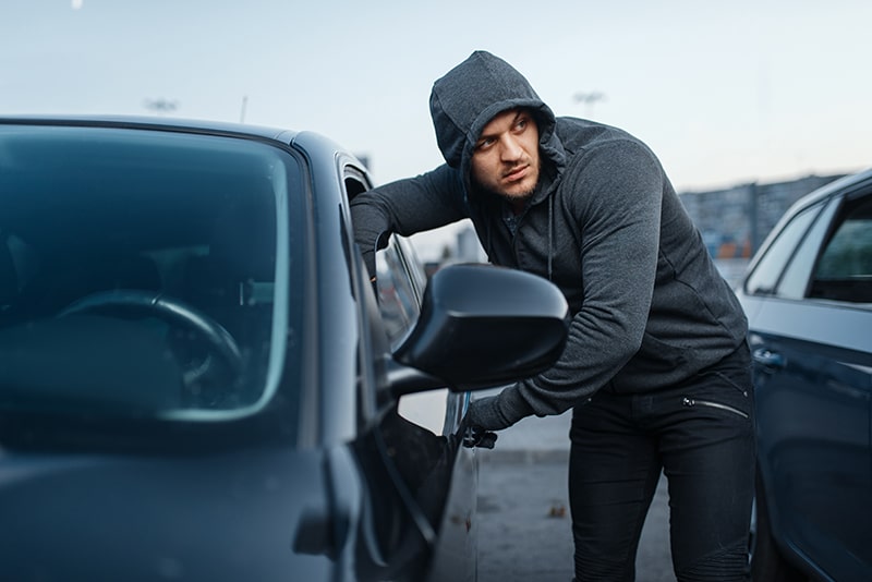 Key Statistics on Vehicle Theft Rates in Portland