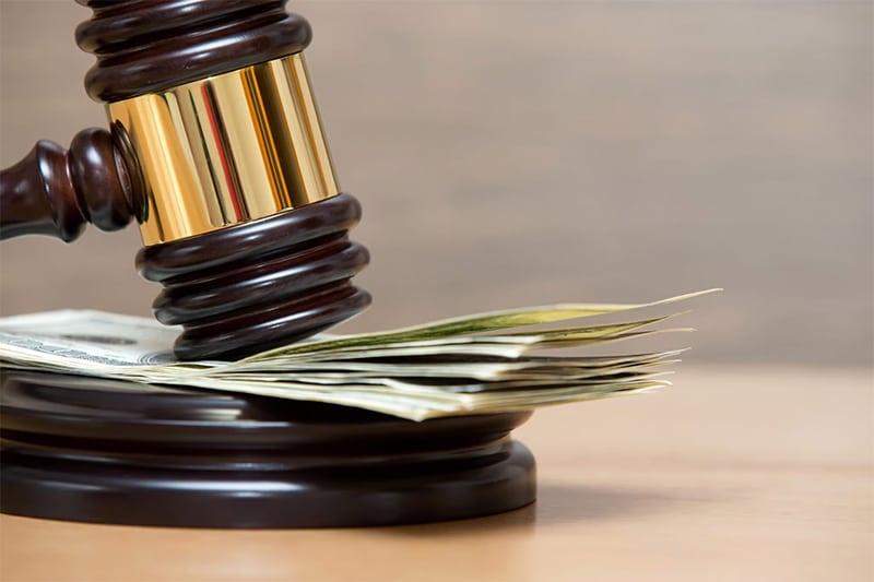 What is a Dog Bite Lawsuit?