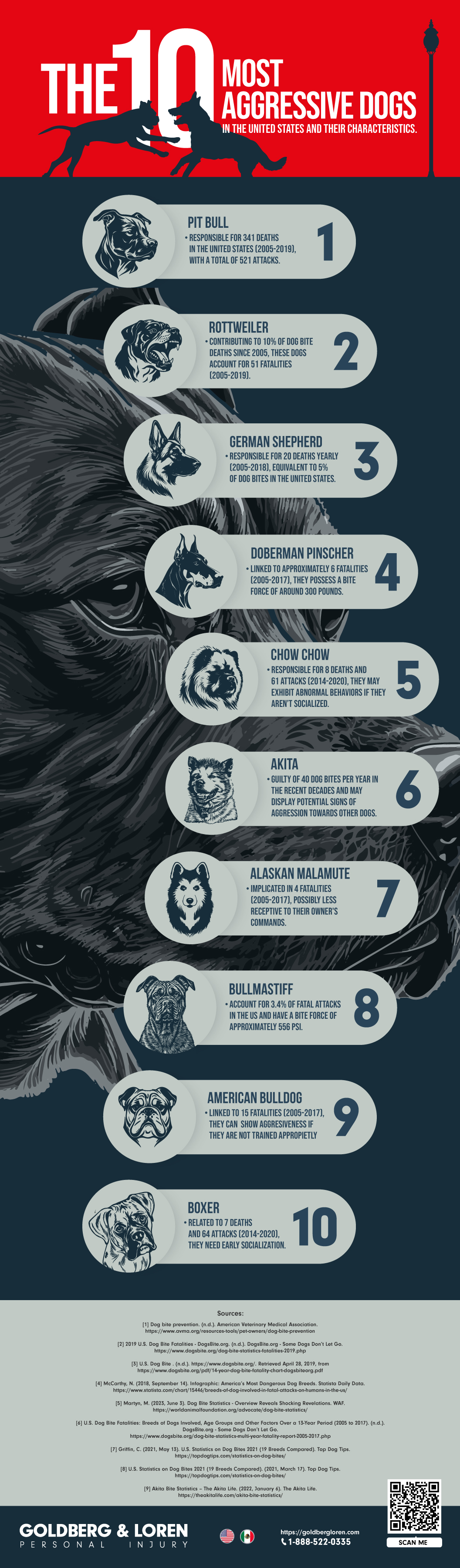 Top 10 Most Aggressive Dogs Infographic