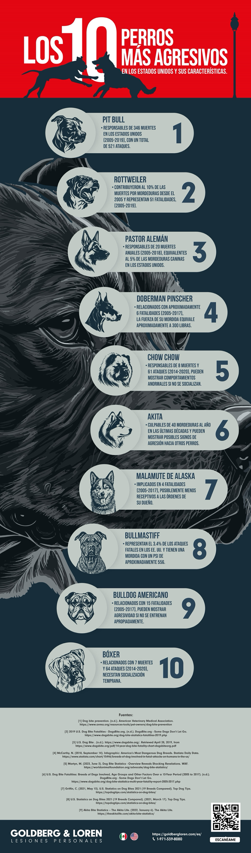 Infografía sobre los 10 perros más agresivos