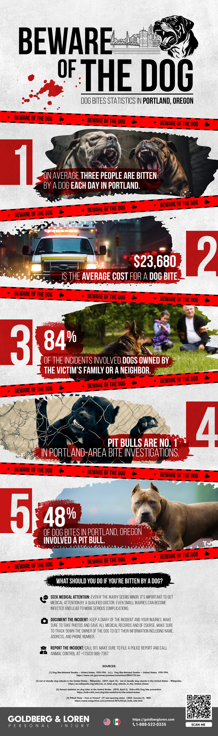 Portland Oregon Dog Bite Statistics Infograph
