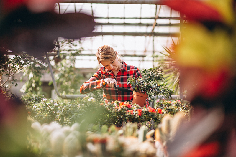 Temporary and Seasonal Workers