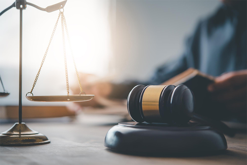 Why Should I Hire a Plantation Cat Attack Lawyer?