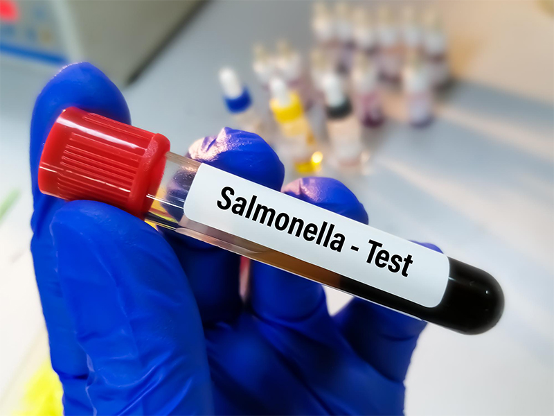 Recent Salmonella Outbreak in Portland, Oregon