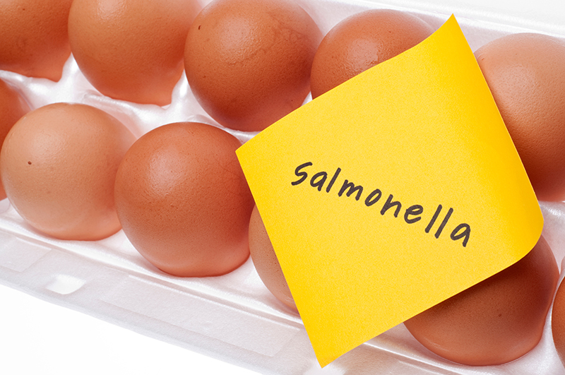 What is Salmonella Food Poisoning?