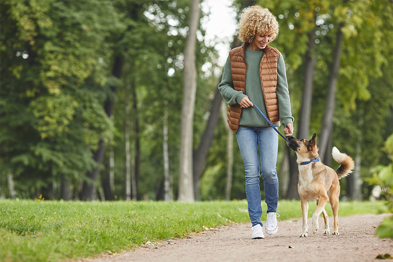 ¿Conoces las leyes y normativas sobre perros en Hillsboro?