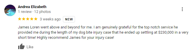 Los Angeles Dog Bite Lawyer Client Review