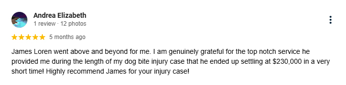 Eugene Dog Bite Client Review