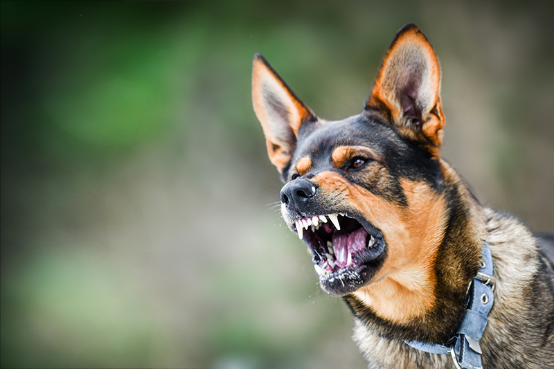 Types of Premises Liability Cases in Georgia