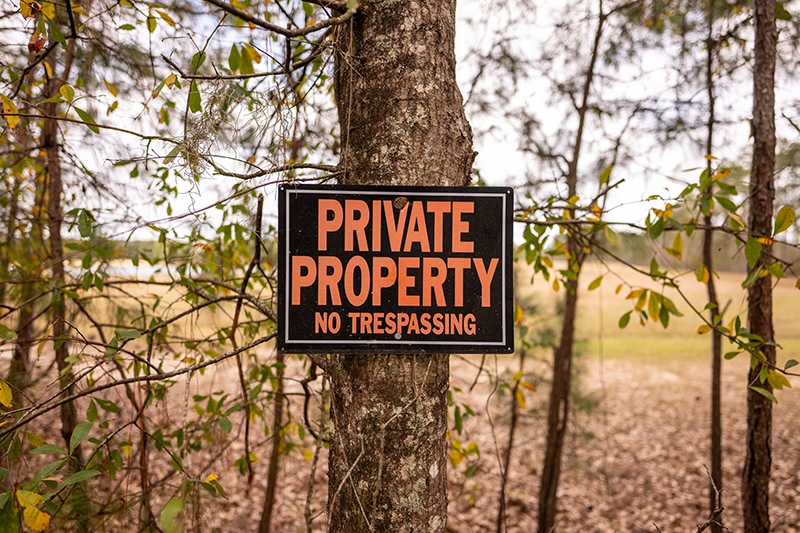Common Defenses in Tacoma Dog Bite Injury Cases: Provocation and Trespassing
