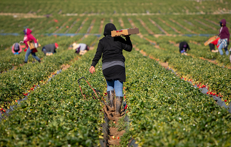 Latest Updates on California Labor Law for 2025