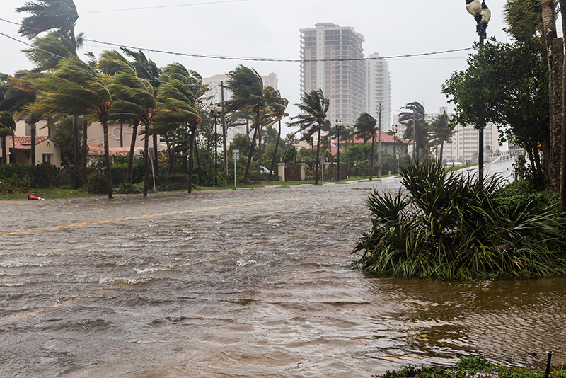 The Impact of Weather on Florida Car Accidents