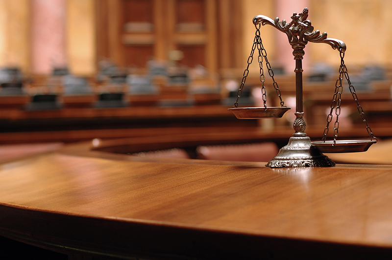 Prepare for Discovery and Court Hearings