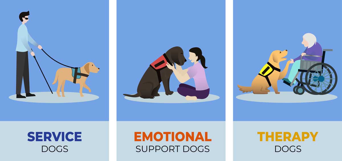 Types of Support Dogs