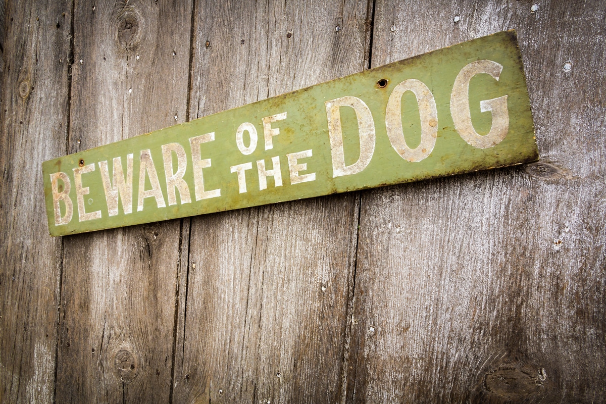 Lakeway Dog Bite Lawyer